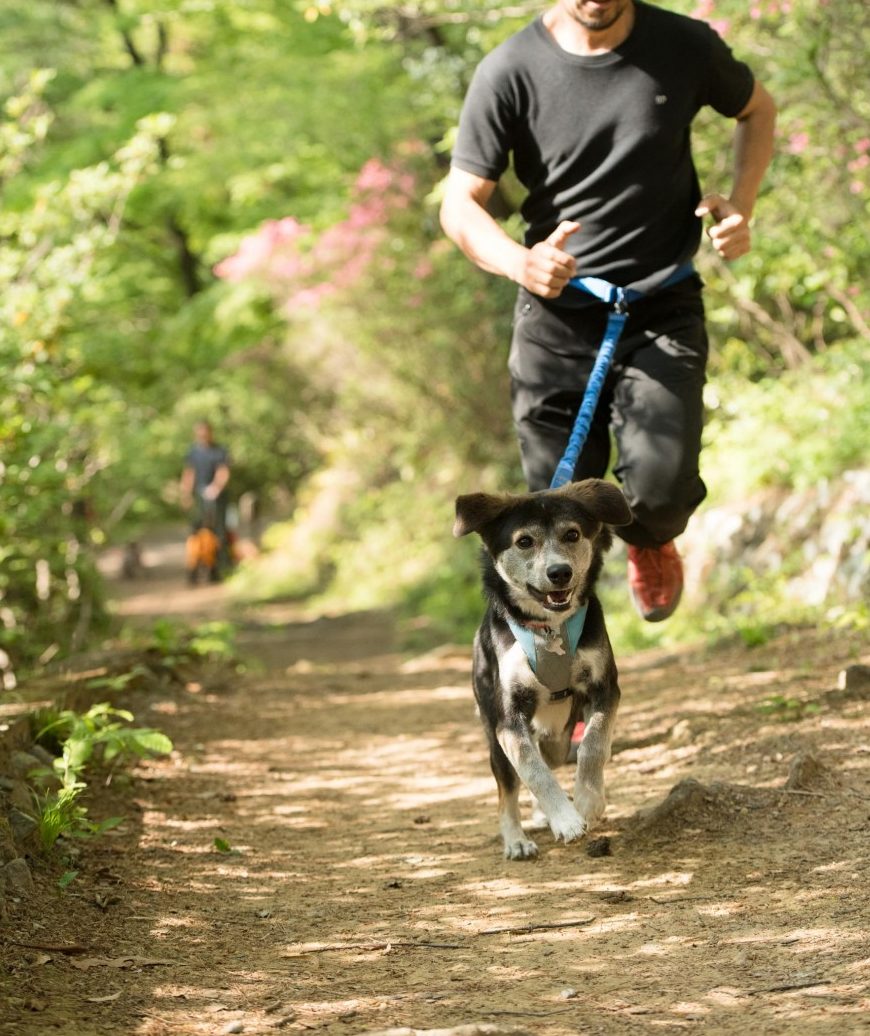 Do You Run With Your Partner Article Staticbloom Inc スタティックブルーム